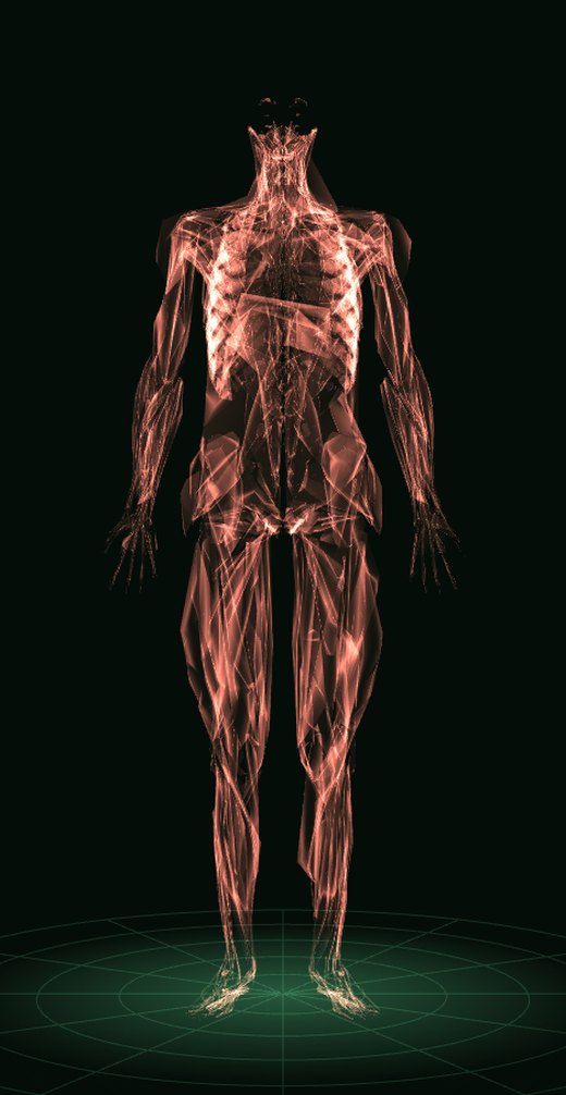 Cuerpo hombre en 3D: músculos