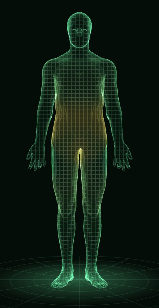 Cuerpo hombre en 3D: piel y mapa de grasa, objetivo