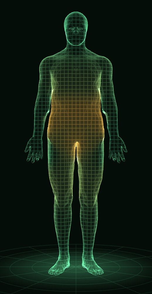 Cuerpo hombre en 3D: piel y mapa de grasa, hoy