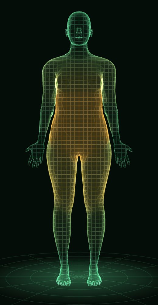 Cuerpo mujer en 3D: piel y mapa de grasa, objetivo